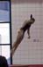 09Sneak1D_00044